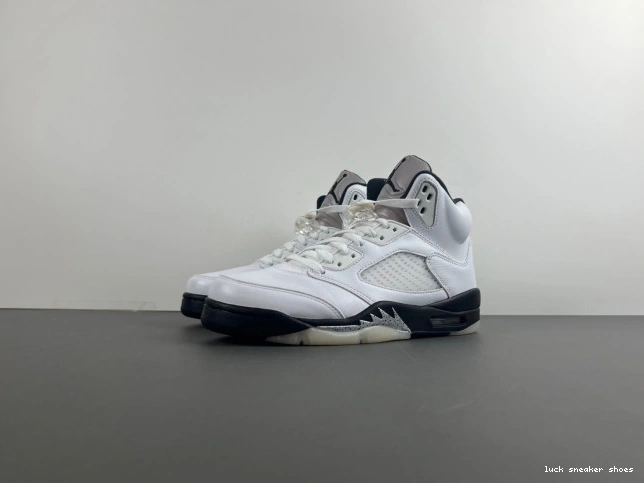 Reps LUCY 5 AIR DD0587-110 'WHITE JORDAN RETRO BLACK' 0807